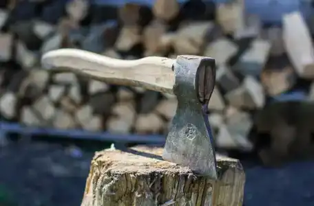 Золотая рыбка - 53