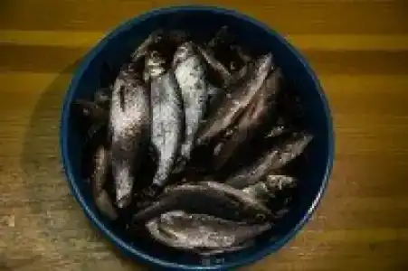 Экотур - 44