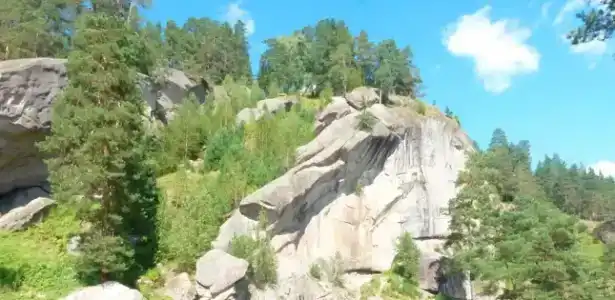 Медвежья берлога - 0