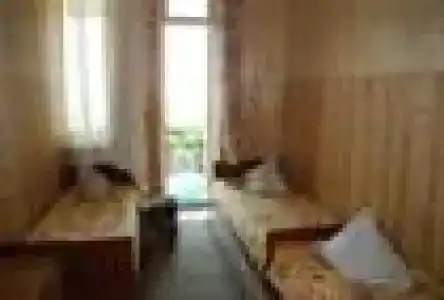 Самшит - 4