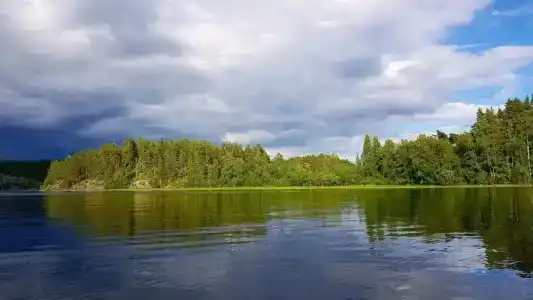 Белые Росы - 14