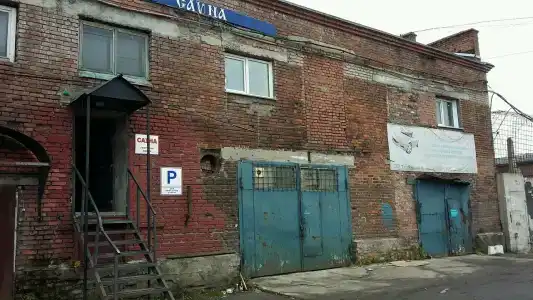 Гала - 5
