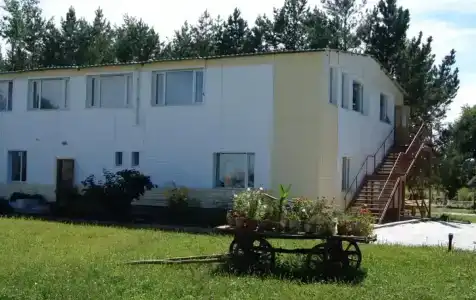 Зеленая - 12