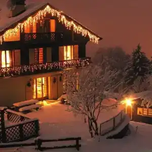 Частокол - 1