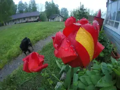 Вектор - 3