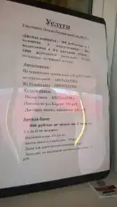 Лилия - 25