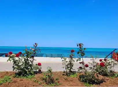 Дом друзей - 92