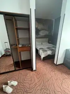 Sunflower by Zont - 48