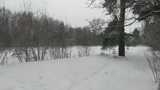База отдыха Бронницы НИУ МГСУ - 8