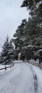 Бунырвилль - 98