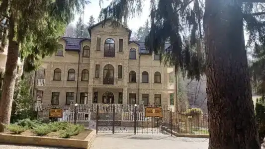 Фаворит - 12