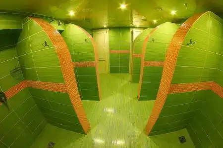 Сосны - 36