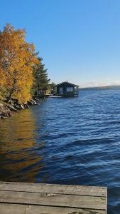 Зайкина дача - 68