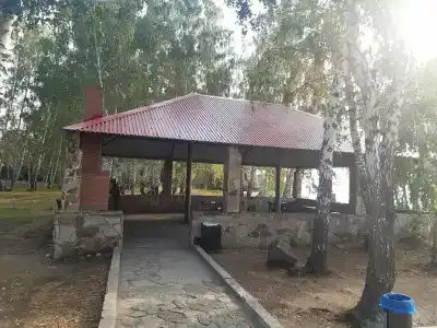 Березовая роща - 16