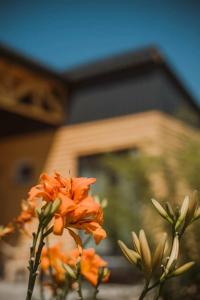 Усадьба Дивноморье - 16