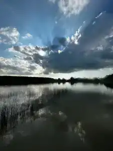 Скелепарк - 74