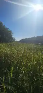 Форт Верный - 90