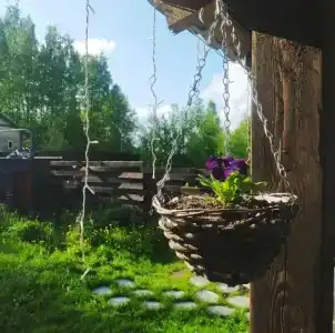 Саванна - 11