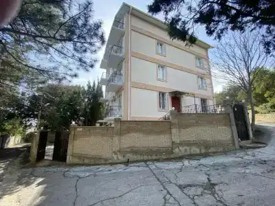 Розмарин - 4