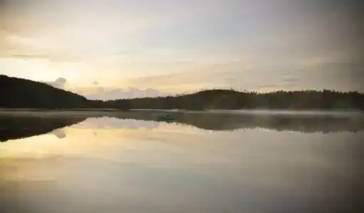 Микли-Ольгино - 39