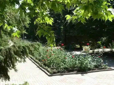 Пансионат Дорожник - 45