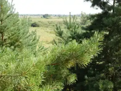 Авиатор - 16