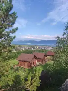 Тайга - 67