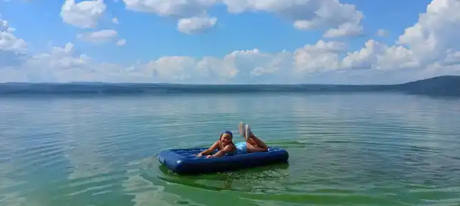 Лесные эльфы - 5
