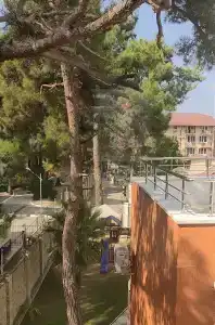 Валентина - 18