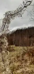 Турбаза Ослянка - 44