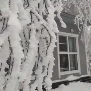 Лесная сказка - 34