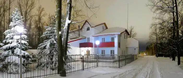 Лесная - 46