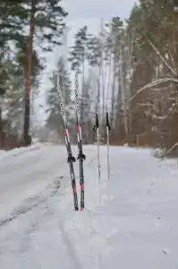 Серебряные ключи - 60