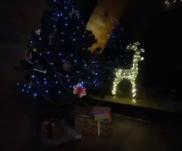 Ильинка лес - 53