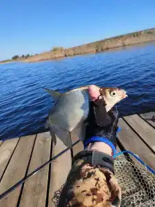 На Вазузу - 15