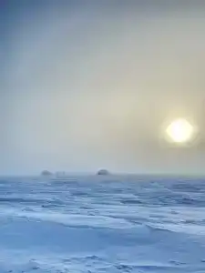 Степняк - 43