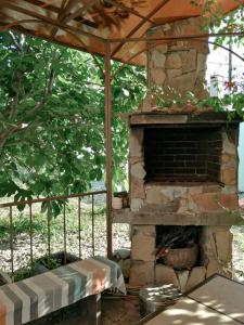 Дельфиния - 19