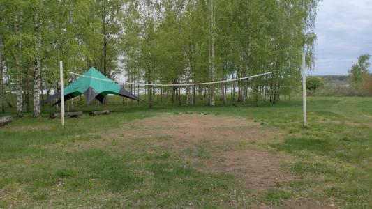 Кот и Дуб - 31