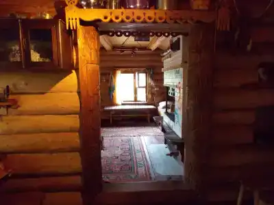 в лесу - 15