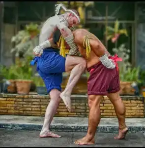 Глобус Групп Фитнес - 9