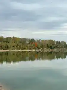 Экоферма и кемпинг Кузнечиха - 16