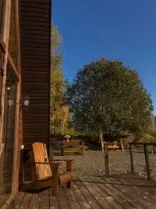 Мультиферма - 47