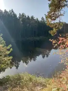 Железинка - 12