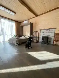 Залесное - 28