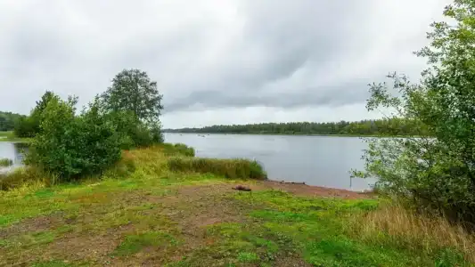 Подворье - 43