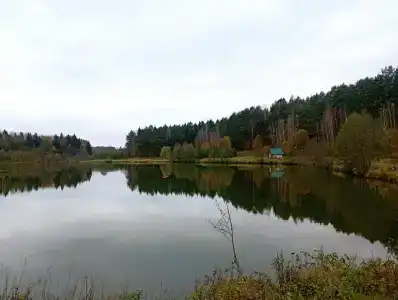 Русичи МВД России - 0