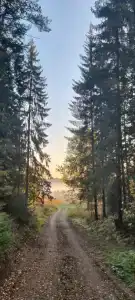 Звезда - 48