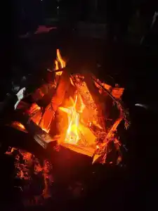 Кедровая заимка - 40