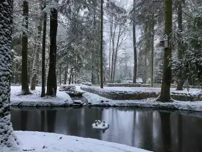 Дом для отпуска в ПК Лесная Сказка - 1
