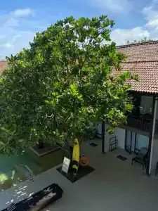 Pandanus Beach Resort & Spa - 31